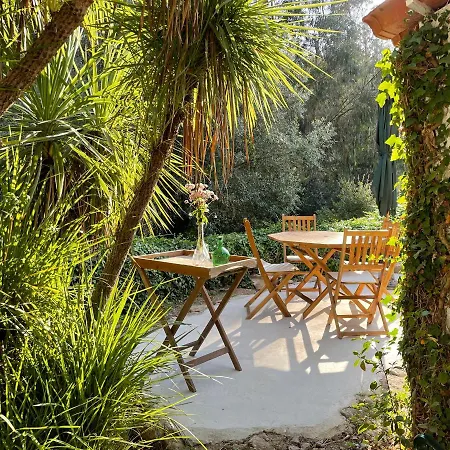 Nativo - Nature With Kitchenette And Private External Bathroom Nazaré