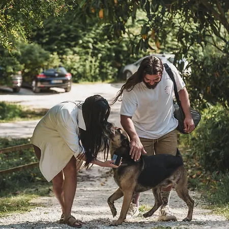 Nativo - Nature With Kitchenette And Private External Bathroom Gerendaház Nazaré