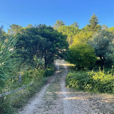 Nativo - Nature With Kitchenette And Private External Bathroom Lodge Nazaré