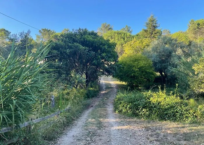 Nativo - Nature With Kitchenette And Private External Bathroom Hytte Nazaré