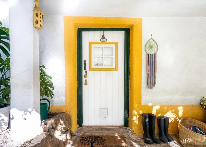 Nativo - Nature With Kitchenette And Private External Bathroom Hytte Nazaré